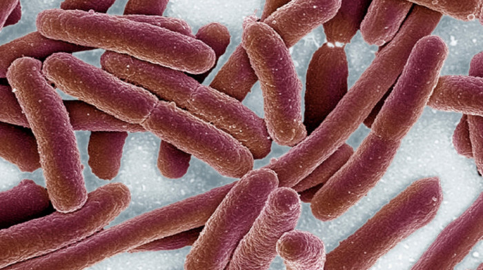Novi antibiotici koji "menjaju oblik" mogli bi da reše globalni problem rezistencije