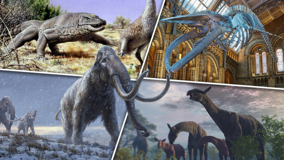 Doba džinova: Deset gigantskih zveri koje su živele na Zemlji nakon nestanka dinosaurusa