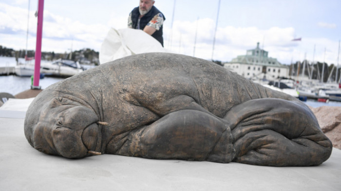Eutanazirana Freja postala besmrtna: Norvežani podigli spomenik razigranom moržu