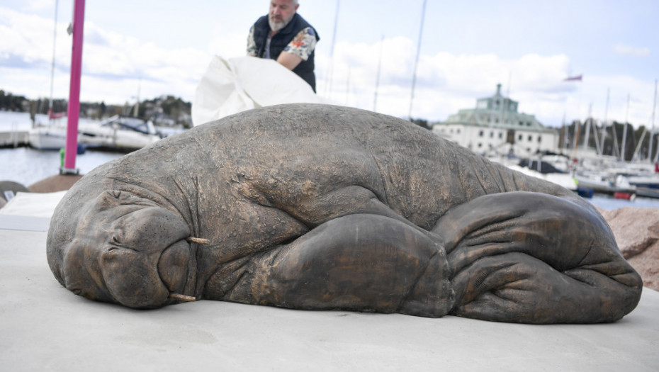 Eutanazirana Freja postala besmrtna: Norvežani podigli spomenik razigranom moržu