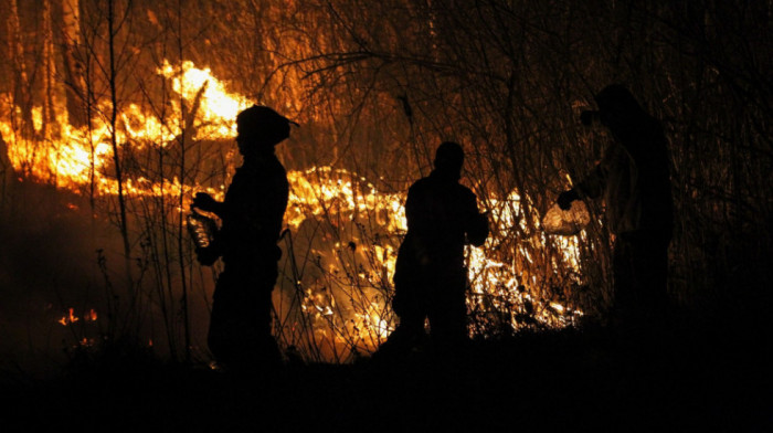 Jančić: Zbog visokih temperatura veća opasnost od šumskih požara