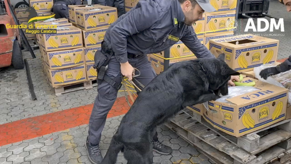 Četvoronožni saradnik italijanske policije u borbi protiv kriminala: U bananama pronađeno 2.700 kilograma kokaina