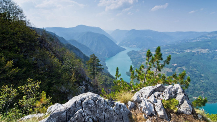 Počela naplata ulaza vozilima u Nacionalni park Tara: Cene od 300 do 1.700 dinara, zavisno od vozila