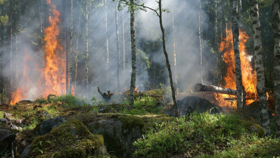 Šumski požar u Turskoj: Vatra na vozilu zapalila šume