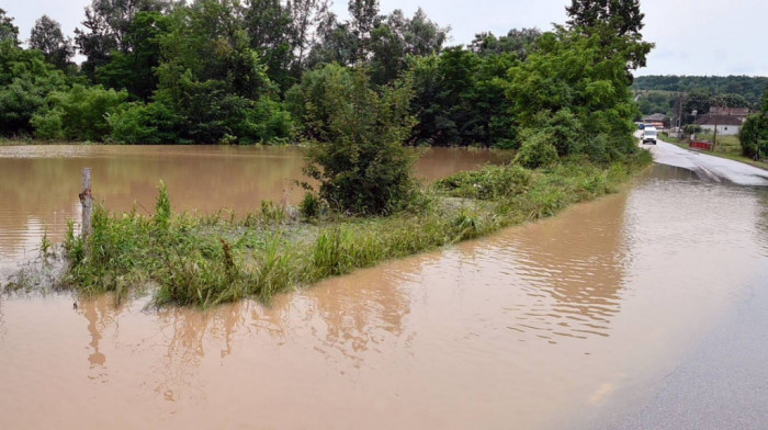 Komisije popisuju štetu posle bujica: U kojoj meri će poplave uticati na poljoprivredu i koje lekcije možemo da naučimo?