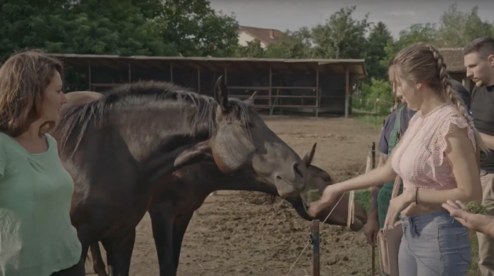 Nagrada za ostvarenje "Na kraju puta" Ivane Todorović na festivalu u Podgorici