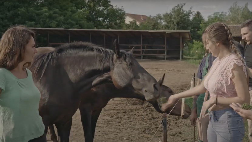 Film "Na kraju puta" rediteljke Ivane Todorović nagrađen na festivalu u Urugvaju