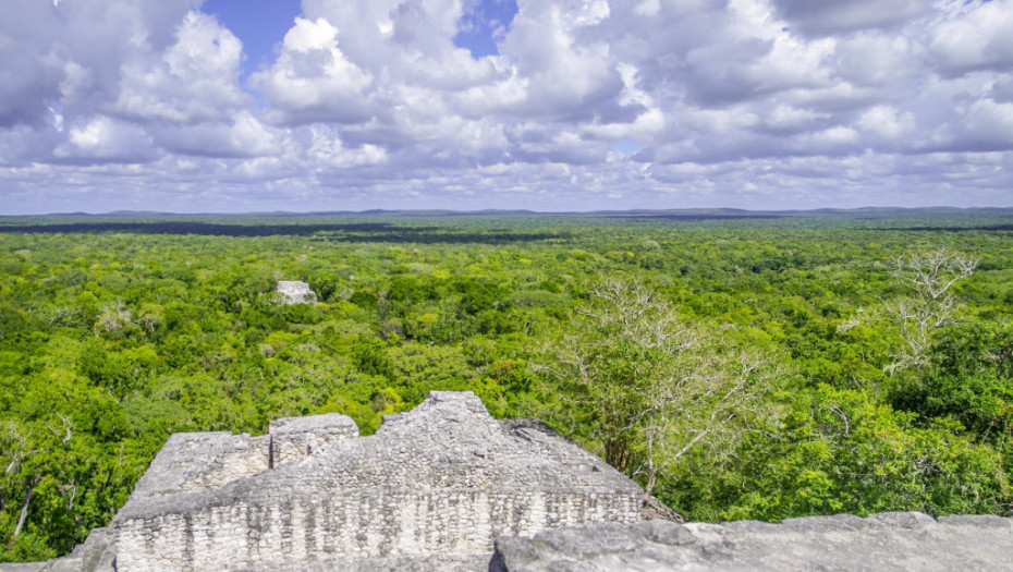 Impozantne građevine vekovima skrivene u dubokoj džungli: U neistraženom delu Meksika pronađen veliki grad drevnih Maja