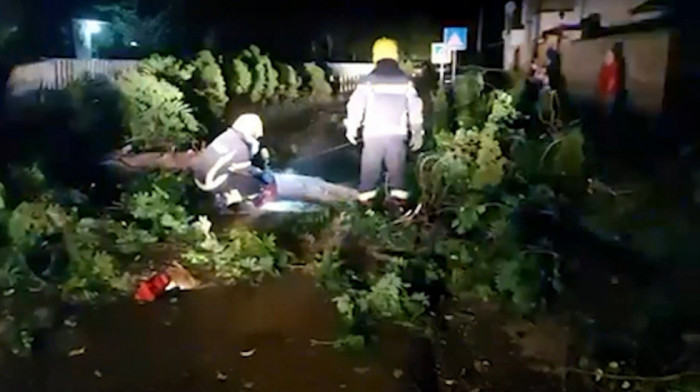 Nevreme tokom noći širom Vojvodine: Vetar obarao stabla, prekidi u snabdevanju strujom, požari od udara groma