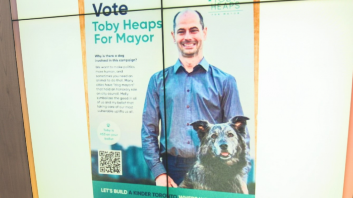 Može li pas Moli do mesta gradonačelnika Toronta? Među 102 kandidata na izborima i potpuno nesvakidašnji predlog