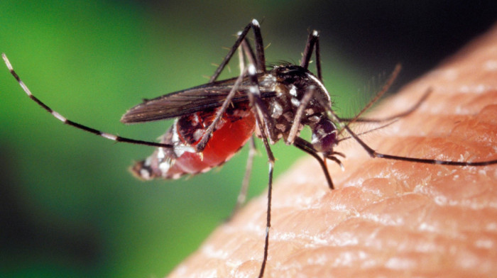 Batut: Virus Zapadnog Nila potvrđen kod dve osobe u Srbiji