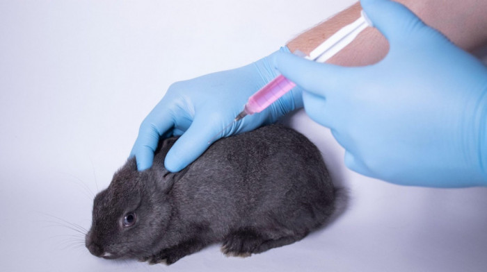 Kanada zvanično zabranila testiranje kozmetike na životinjama