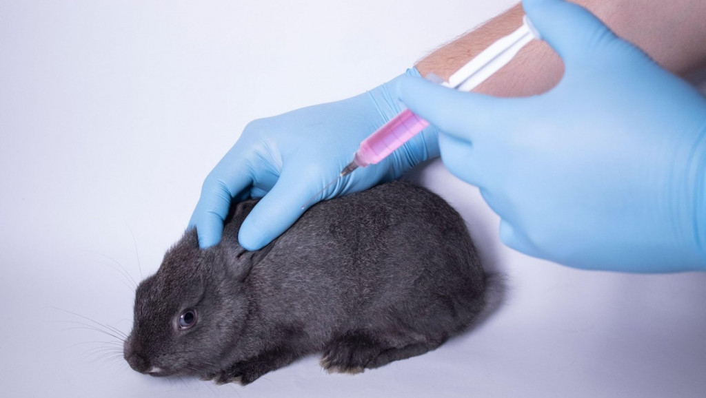 Kanada zvanično zabranila testiranje kozmetike na životinjama