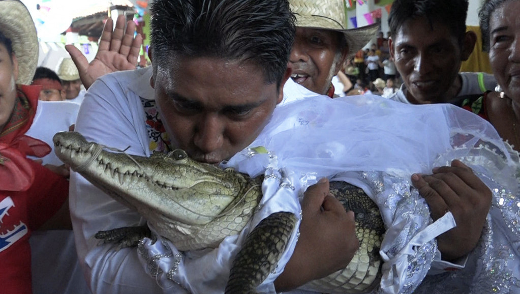 Gradonačelnik u Meksiku venčao se sa ženkom kajmana: "Slavimo zajednicu dve kulture, ljudi su zadovoljni"