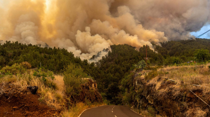 Veliki šumski požar na Kanarskim ostrvima, evakuisano više od 4.000 ljudi