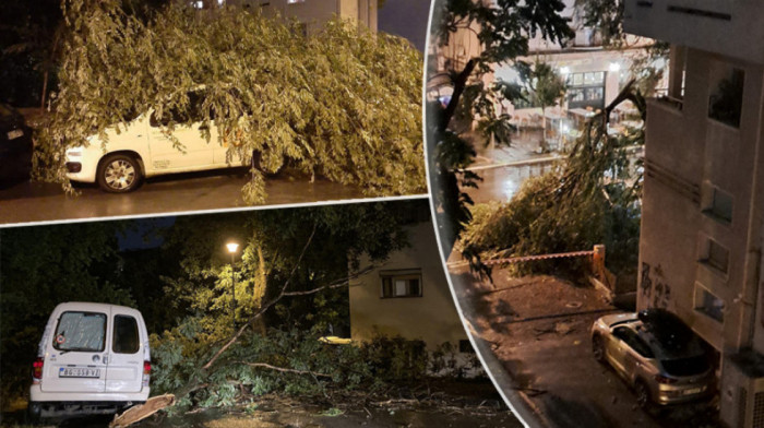 Otklanjaju se dramatične posledice nevremena u Srbiji: Olujni vetar rušio stabla i naneo veliku štetu