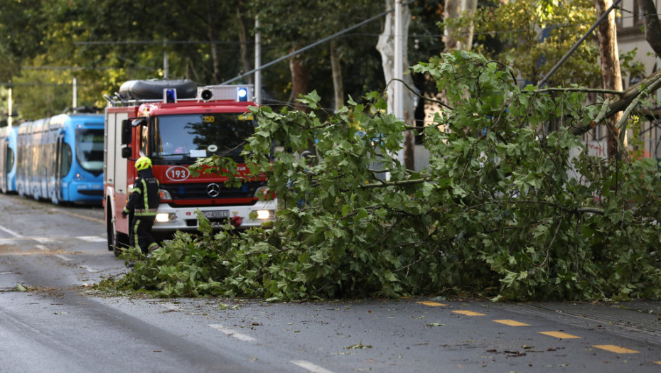 Najavljena promena vremena stigla u Hrvatsku: Na Žitnjaku palo stablo na parkiran automobil