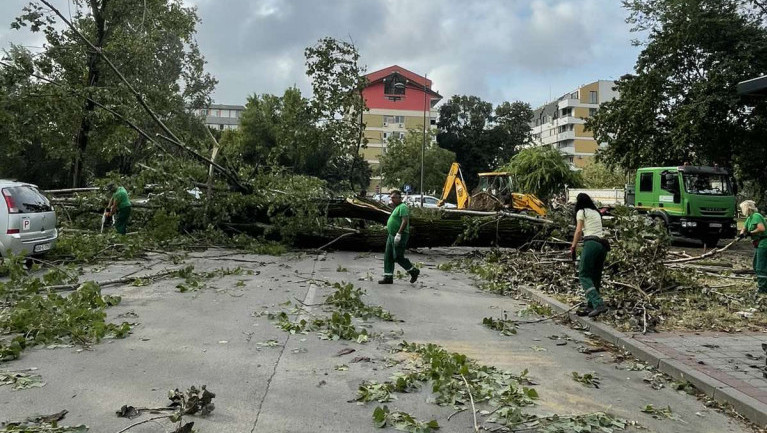 "Štrand" u Novom Sadu ponovo otvoren posle sanacije: "Gotovo da nema dela grada u kom nije bilo štete na drveću"