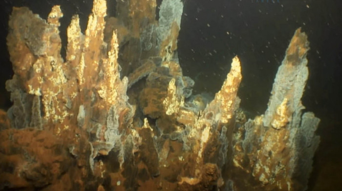 U Grčkoj pronađena jedna od najstarijih živih vrsta: Rešenje misterije porekla života na Zemlji krije se u morskom dnu