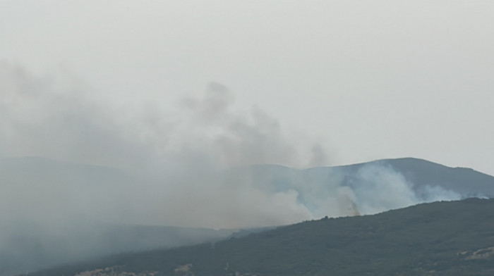 Veliki šumski požar nadomak Pirota (VIDEO)