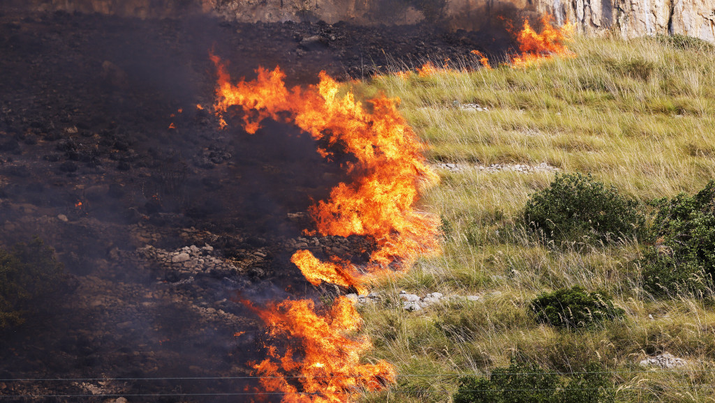 Albanija se bori sa šumskim požarima, uhapšene četiri osobe