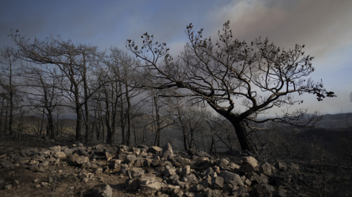 Izbio novi požar u Grčkoj, na Rodosu i dalje gori, dve osobe stradale su u Velestinu