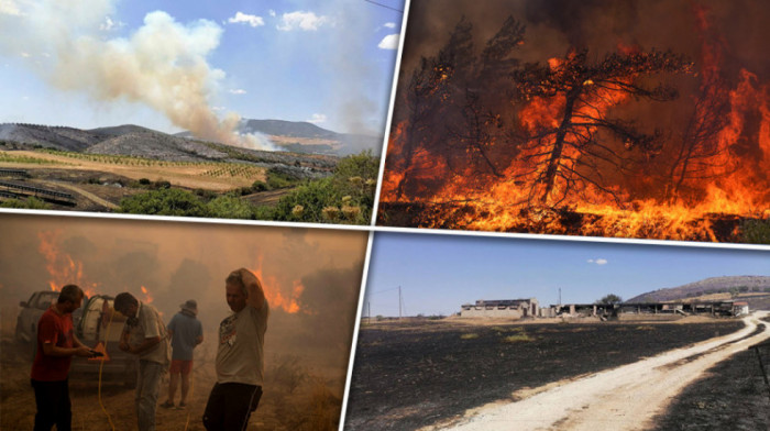 Euronews Srbija u Grčkoj: Požari buknuli i u središnjem delu zemlje, dramatično u mestima oko Volosa, vatra se brzo širi
