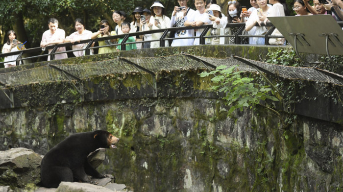 Medved koji maše posetiocima zoo vrta u Kini probudio sumnje: Da li je reč o zveri ili dobro maskiranom čoveku?