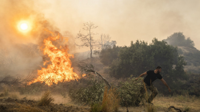 Sprečavanje šumskih požara: Kako Evropa planira da u budućnosti zauzdava letnje vatrene stihije