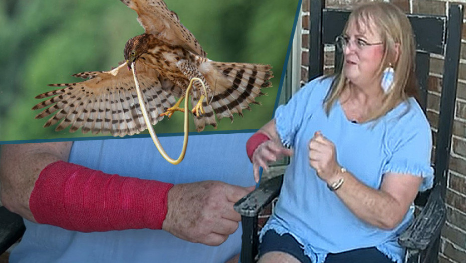 Dvostruki susret sa predatorima: Na ženu iz Teksasa sa neba pala zmija, a zatim se na nju obrušio i jastreb