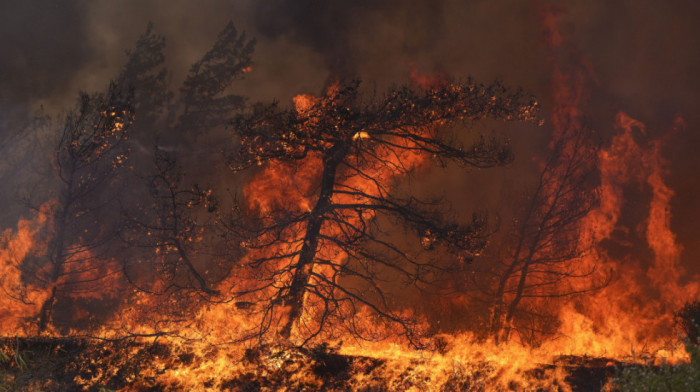 "Ne može da se živi": Ekstremne temperature prave haos u Evropi, u Španiji rekord, crvena upozorenja širom kontinenta