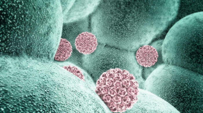 Studija: Svaki treći muškarac u svetu zaražen je nekom vrstom HPV virusa