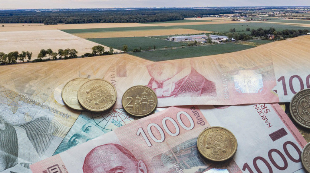 Više od četiri milijarde dinara raspodeljeno za prvi kvartal za premije za mleko