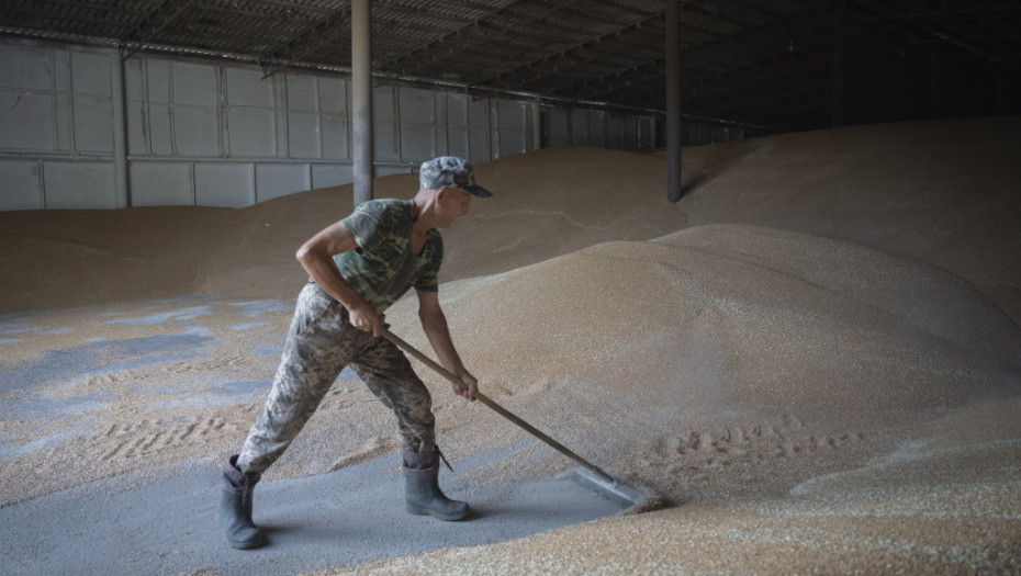 Posle povlačenja Rusije iz sporazuma o žitu, ukrajinski farmeri u borbi za opstanak: Proizvonja opala za 40 odsto