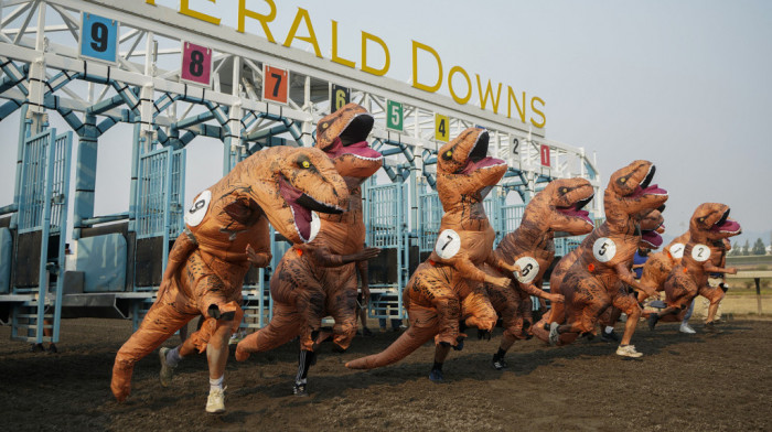 Trka dinosaurusa pretvorila hipodrom u Vašingtonu u "park iz doba jure" (FOTO)