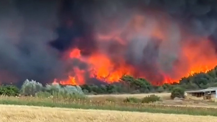 Požar kod Pljevalja: Domaćinstva ugrožena, jak vetar otežava gašenje