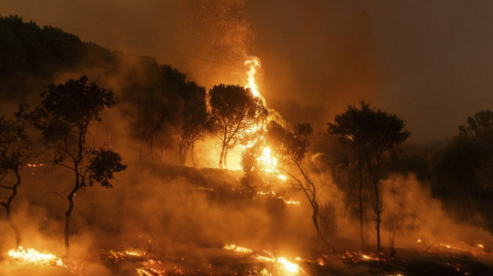 Više od 600 vatrogasaca bori se sa tri velika požara u Grčkoj: Spaljene ogromne površine šume