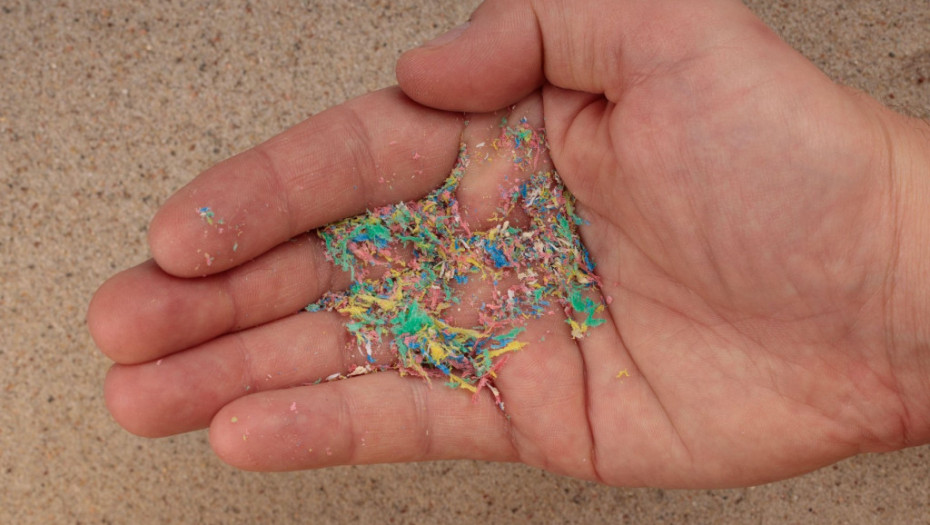 Naučnici otkrili da je mikroplastika u organizmu mogla da utiče na ponašanje