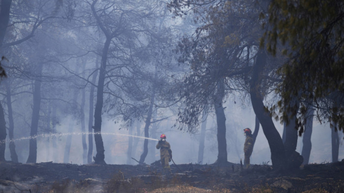 Veliki šumski požar na severoistoku Grčke postepeno jenjava