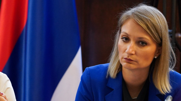 Biljana Pantić Pilja: Izveštaj PSSE o Srbiji sadrži netačne i neproverene informacije
