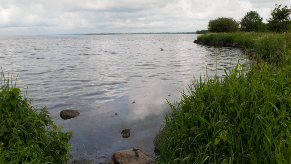 Najveće britansko slatkovodno jezero prekriveno toksičnim algama
