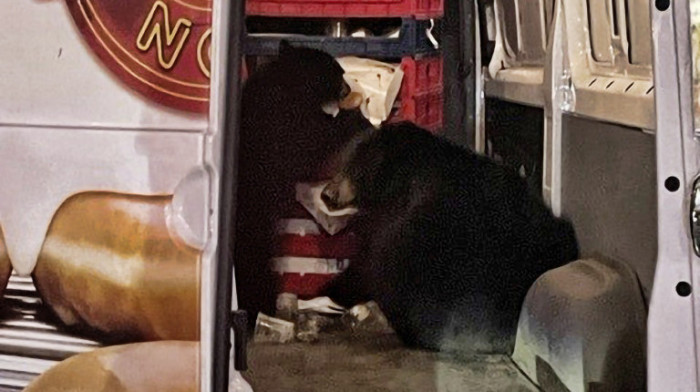 Kad ostaviš otvorena vrata kombija: Krofne za vojsku na Aljasci završile u stomacima medveda