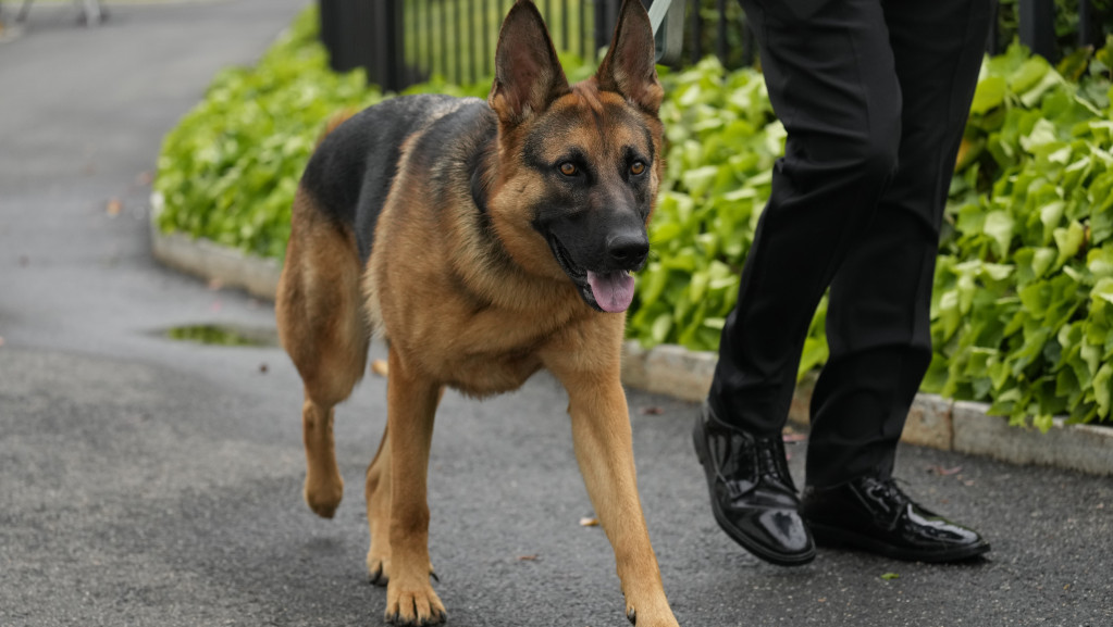 Nemački ovčar Komandant nije ljubitelj osoblja Bele kuće: Bajdenov pas ujeo još jednog agenta Tajne službe