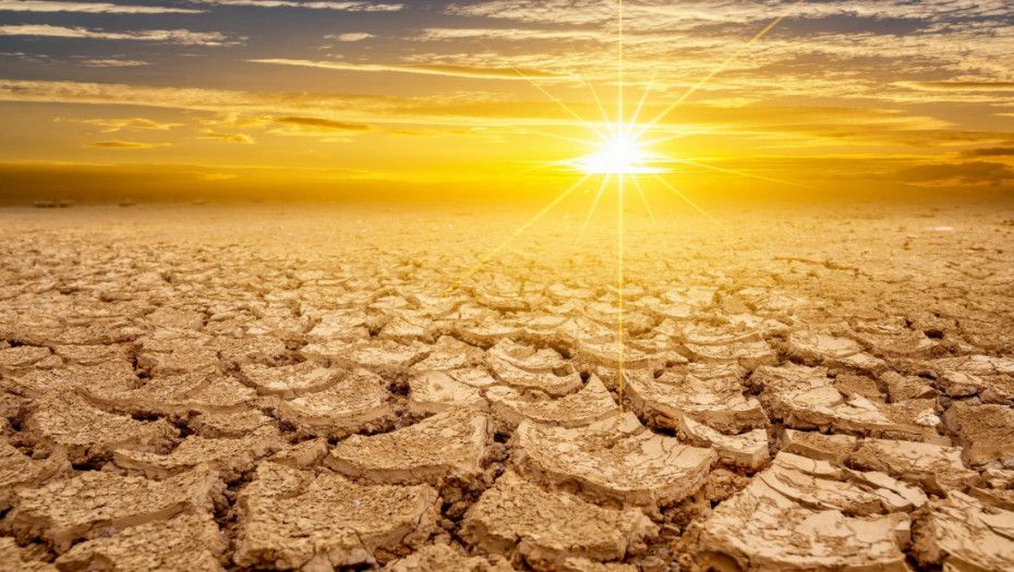 Studija: Više od 3.500 životinjskih vrsta ugroženo klimatskim promenama