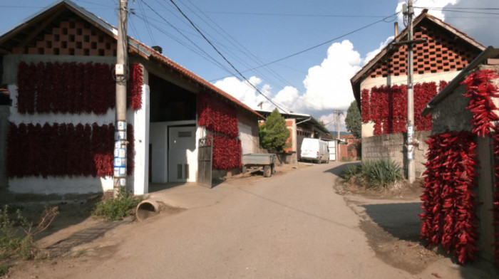 Najcrvenije selo u Srbiji: U Donju Lokušnicu paprika je stigla pre 300 godina, autohtona sorta uspeva samo ovde