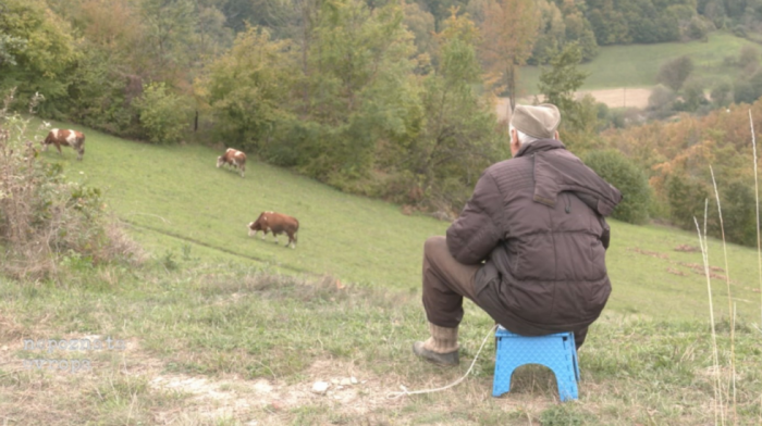 Zaboravljeni na Goliji - ljudi koji iščekuju pomoć: "Ima onih koji su potpuno sami, žive od toga ko im šta donese"