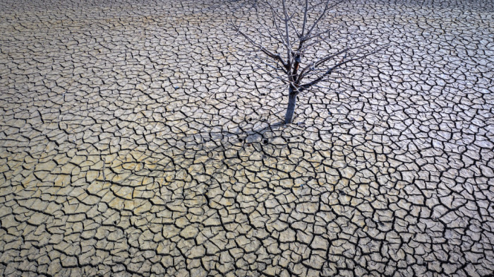 Koliko nas koštaju klimatske promene: "Prihod globalne ekonomije smanjiće se za 19 odsto do 2050."