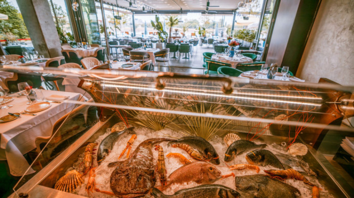 MOMI Crazy fish – restoran za sve ljubitelje najkvalitetnije ribe