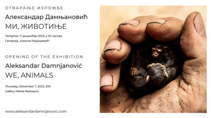 U četvrtak otvaranje izložbe "Mi, životinje" - Kolekcije umetničkih fotografija Aleksandra Damnjanovića