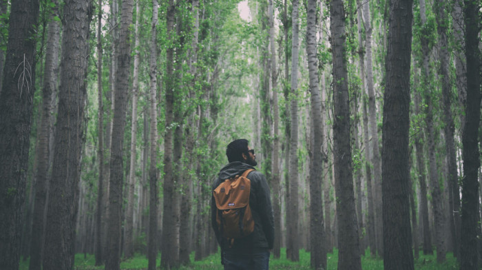Šuma kao lek: U Finskoj lekari propisuju šetnje po prirodi za bolje mentalno zdravlje